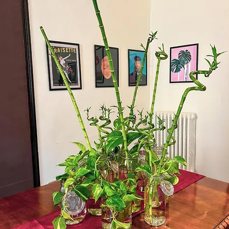 Residenza Delle Arti 招待所 博洛尼亚