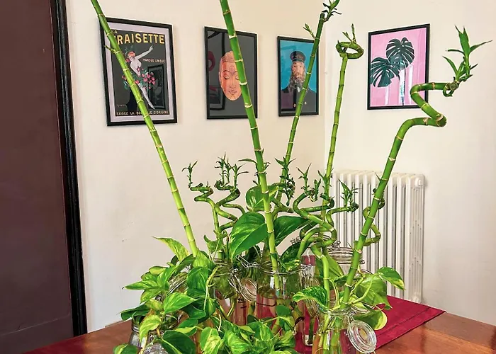 Residenza Delle Arti 게스트하우스 볼로냐